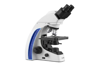 Imagen PNG para descargar